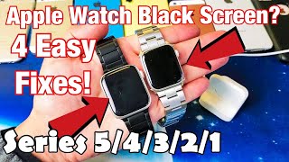 Apple Watch How to Fix Black Screen Display Wont Turn On 4 Easy Fixes [upl. by Della967]