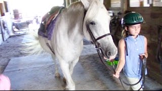 First Horseback Riding Lesson at a New Stable  Crazy8Family [upl. by Merari690]