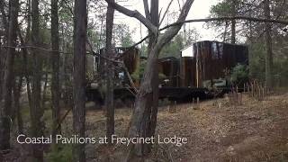 Accommodation in Freycinet National Park  Coastal Pavilions [upl. by Uht556]