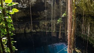 Top 8 Mexican Cenotes [upl. by Lehteb325]