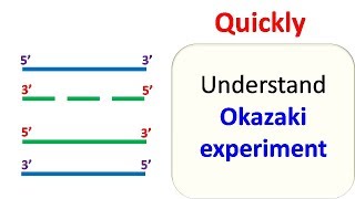 Okazaki experiment [upl. by Larsen]