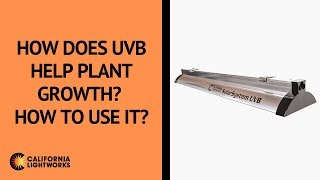 How does UVB help plant growth How to use it [upl. by Ben]