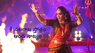 Nataraja Stotram  Smt Padma Mohan  Andhra Natyam [upl. by Austine]