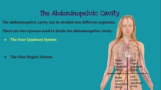 CHAPTER 1 Introduction to Anatomy and Physiology [upl. by Hannad]