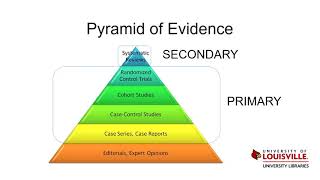 Levels of Evidence [upl. by Eeltrebor]