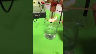 Electrolysis of Sodium Chloride [upl. by Edana]