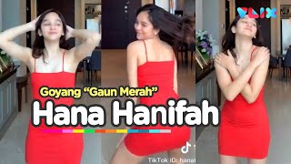 Viral Goyang Gaun Merah Hana Hanifah [upl. by Nemraciram860]