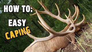 How To Cape Your Trophy Elk  Big Game Taxidermy in the Field [upl. by Onitram]