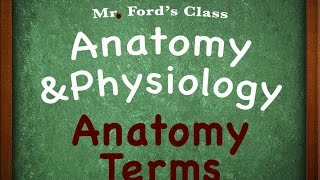 Introduction To Anatomy Physiology Anatomy Terms 0102 [upl. by Eudo]