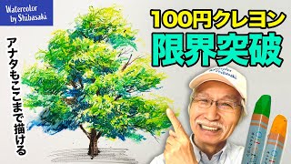 【100均画材】夏休みは100円クレヨンでリアルな樹木を描こう！ 画家 柴﨑春通が一歩ずつわかりやすく解説  簡単！初心者でもここまで描ける！ [upl. by Linehan]