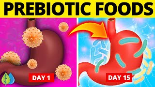 🦠Top 6 Best Prebiotic Foods That Improve Gut Health [upl. by Ecinuahs]