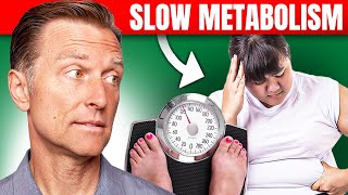 The Best Way to Fix a Slow Metabolism – Dr Bergs Expert Advice [upl. by Lucchesi204]