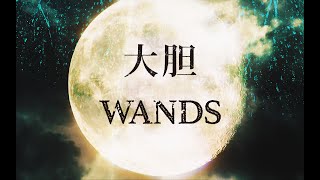 WANDS「大胆」 MV [upl. by Nalak]