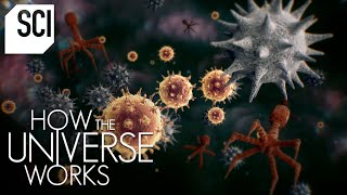 The Invisible Microcosmos  How the Universe Works [upl. by Kelcey]