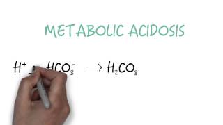 Bicarbonate  The Primary Buffer [upl. by Moseley]