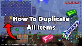 HOW TO DUPLICATE ITEMS IN TERRARIA NEXT GEN amp CURRENT GEN [upl. by Siraj712]