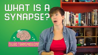 What is a synapse [upl. by Alisa]