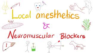 Local Anesthetics and Neuromuscular Blockers  Anesthesiology [upl. by Anidem]