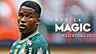 Endrick • Palmeiras • New Skills amp Goals 2023 [upl. by Eisaj421]