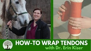 Howto Properly Wrap Tendons with Dr Erin Kiser [upl. by Oiramrej]