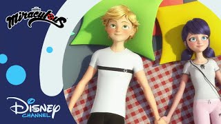 ☁ Chmury  Miraculous Biedronka i Czarny Kot  Disney Channel Polska [upl. by Acsirp]