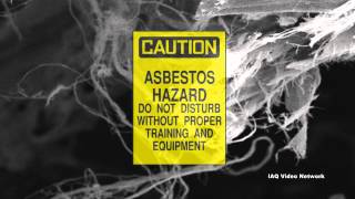 What Is Mesothelioma [upl. by Acisse]