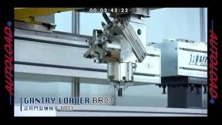 BR03 AUTOLOAD Gantry Loading Systems from CNC Indexing amp Feeding Technologies [upl. by Arondel]