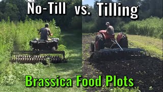 Planting Brassica Food Plots  NoTill vs Tilling [upl. by Etty258]