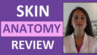 Anatomy amp Physiology Integumentary Skin System Overview [upl. by Oniotna]