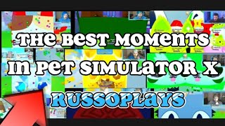 THE BEST RUSSOPLAYS MOMENTS IN PET SIMULATOR X [upl. by Ahsemed]