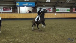 Best Fails amp Falls 2016  HorseFails amp Falls  Outtakes  Pleiten Pech und Pannen 2016 [upl. by Hefter]