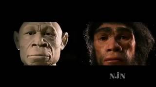 PBS Nova Documentary Collection Homo Sapiens The Birth of Humanity [upl. by Range]