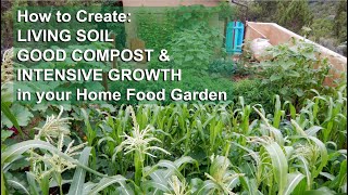 Create Living Soil Good Compost amp Intensive Growth in your home garden [upl. by Hsitirb116]