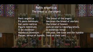 Panis Angelicus  Hymn Lambillotte [upl. by Enneirdna541]