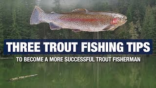 3 Advanced Trout Fishing Tips and Tricks  Become A Better Trout Fisherman [upl. by Stephani]