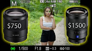 The NEW Sony 35mm 18 vs Sony Zeiss 35mm 14 Is the F14 lens worth double the price [upl. by Laicram]