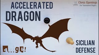 The Accelerated Dragon ⎸Sicilian Defense Theory [upl. by Nylemaj]