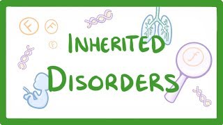 Genetics  Chromosomal Theory of Inheritance  Lesson 9  Dont Memorise [upl. by Enybor]