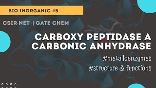 Carboxy peptidase A  carbonic anhydrase  bioinorganic Chemicos academy [upl. by Anastatius375]