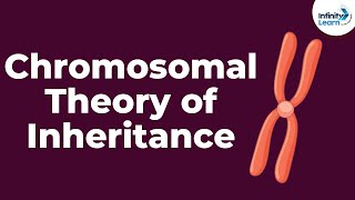 Mendels Law of Inheritance  3 Mendelian Law of Inheritance  ABT Gurukul [upl. by Norrehc93]