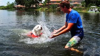 TEACHING KODA TO SWIM Super Cooper Sunday 103 [upl. by Caffrey]