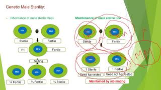 Cytosol vs Cytoplasm  Whats the Difference [upl. by Ailahs]