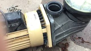 How to pull apart a Swimming pool Pump Whats Inside I showampexplain Davey casing housing change [upl. by Rafaelita]