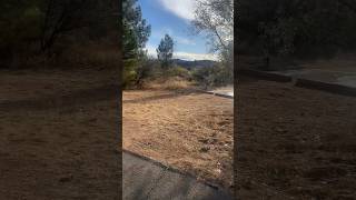 Dead Horse Ranch State Park RV Site Tour shorts [upl. by Woothen]