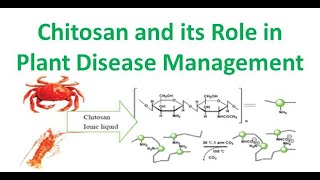 Chitosan and its Role in Plant Disease Management [upl. by Ylellan]