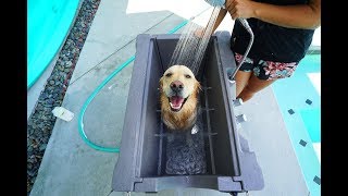 PUPPY LOVES HIS NEW CUSTOM DOG BATH  Super Cooper Sunday 157 [upl. by Blader]