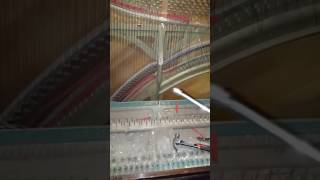 How to take off piano strings trickhack [upl. by Elia289]