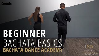 Bachata Beginner Basic Steps Tutorial  Demetrio amp Nicole  Bachata Dance Academy [upl. by Freida335]