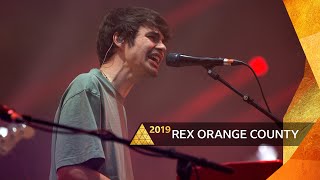 Rex Orange County Live Performance [upl. by Sebastian889]