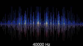 Test your hearing 40000 Hz whistle [upl. by Felicity]